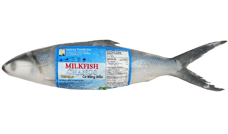 Bangus/Milkfish