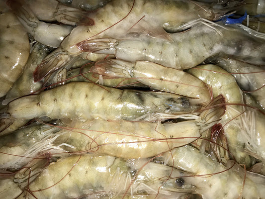 Ecuador Frozen Raw Shrimp Head-on, Shell-On Block 4lbs  Big Sizes Shrimps