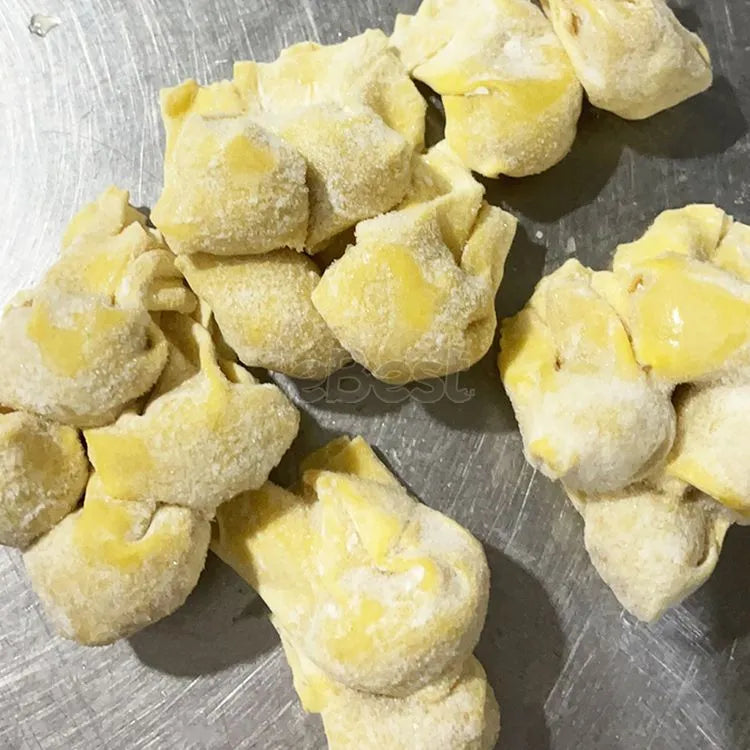 Frozen Shrimp Wonton 10pcs/bag
