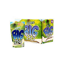 Zest-O Big 250 Guyabano Flavor Juice 10x250ml