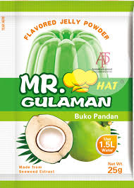 Mr. Gulaman Buko Pandan 25g